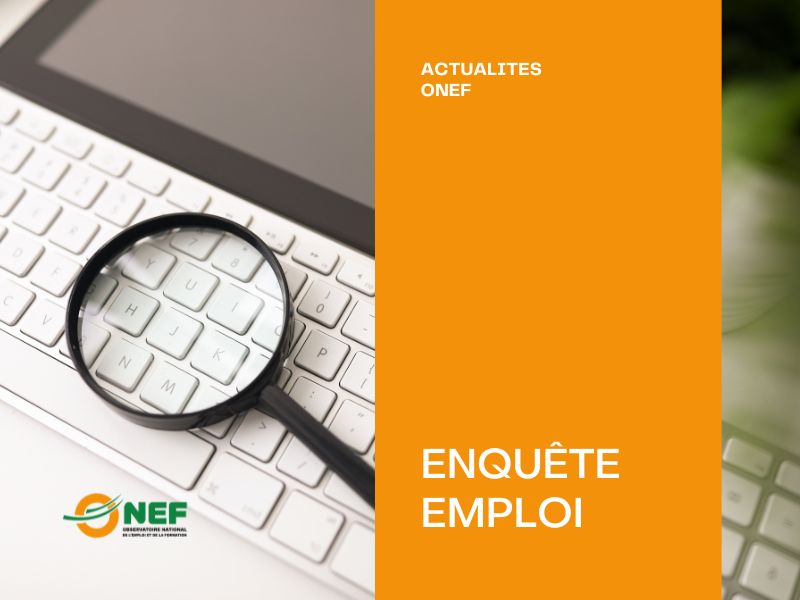 Enquête Emploi