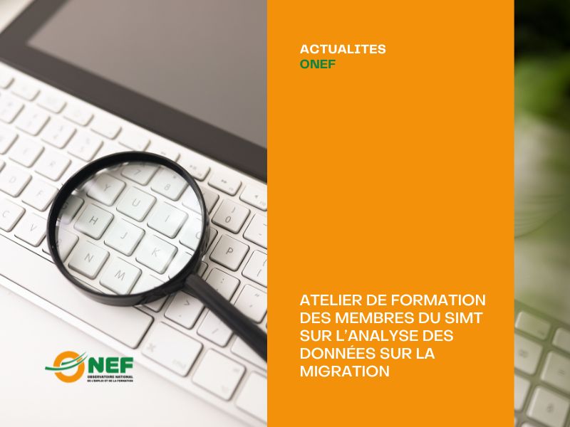 Atelier de formation des membres du SIMT sur l’analyse des données sur la migration