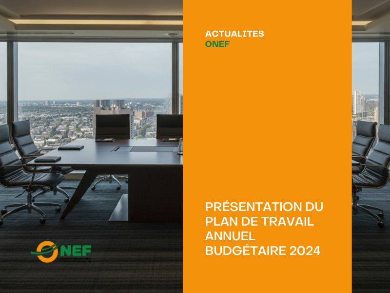 Deuxième Conseil de Gestion - Présentation du Plan de Travail Annuel Budgétaire 2024