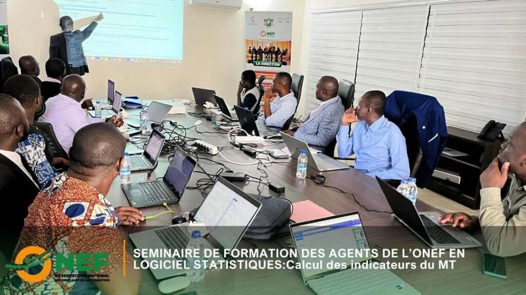 Séminaire de formation des agents de l'ONEF en logiciel statistiques